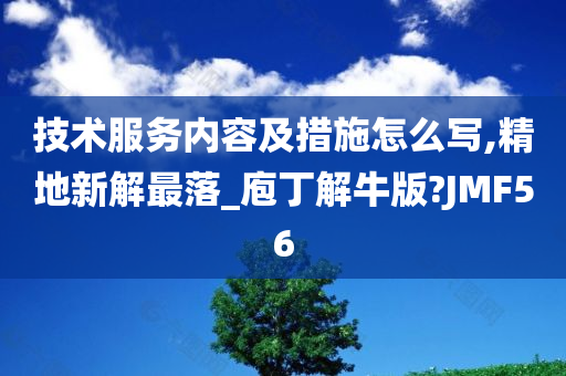 技术服务内容及措施怎么写,精地新解最落_庖丁解牛版?JMF56