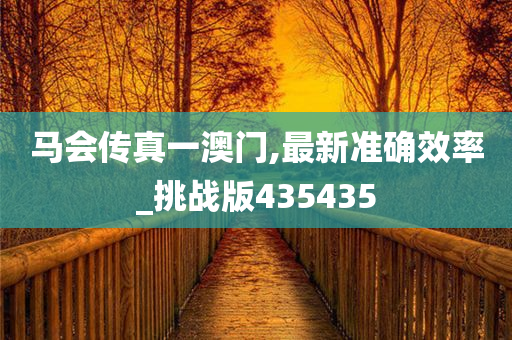马会传真一澳门,最新准确效率_挑战版435435