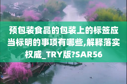 预包装食品的包装上的标签应当标明的事项有哪些,解释落实权威_TRY版?SAR56