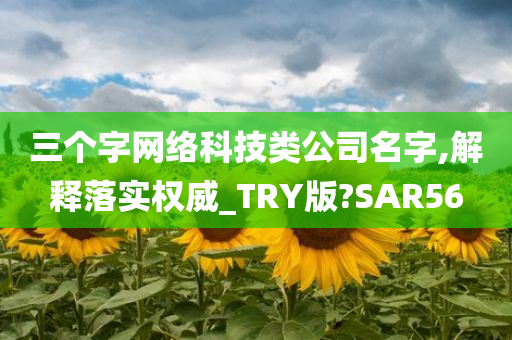 三个字网络科技类公司名字,解释落实权威_TRY版?SAR56