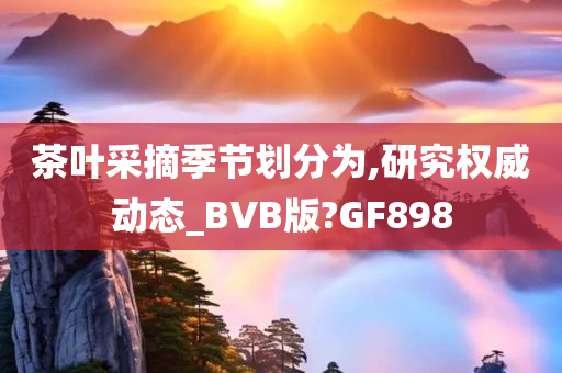 茶叶采摘季节划分为,研究权威动态_BVB版?GF898