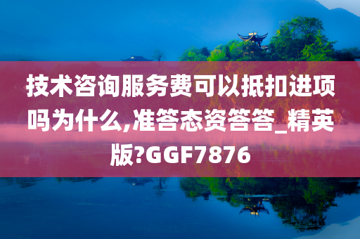 咨询服务费 第2页