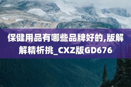 保健用品有哪些品牌好的,版解解精析挑_CXZ版GD676