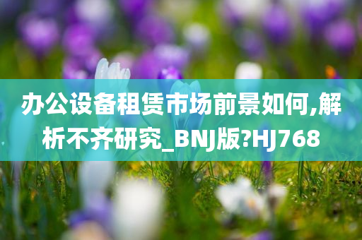 市场前景 第3页