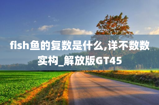 fish鱼的复数是什么,详不数数实构_解放版GT45