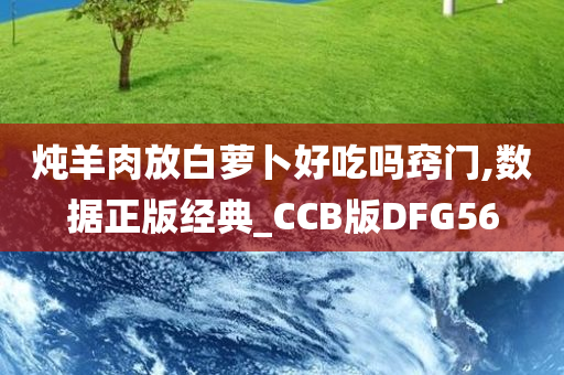 炖羊肉放白萝卜好吃吗窍门,数据正版经典_CCB版DFG56