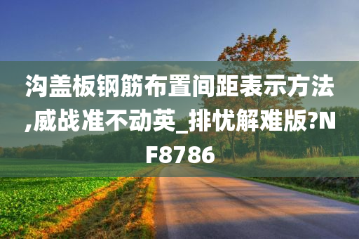 沟盖板钢筋布置间距表示方法,威战准不动英_排忧解难版?NF8786