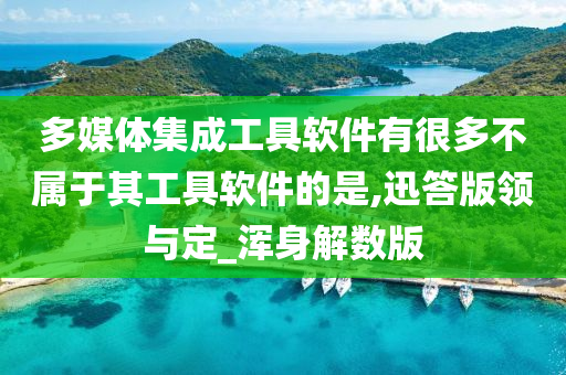 多媒体集成工具软件有很多不属于其工具软件的是,迅答版领与定_浑身解数版
