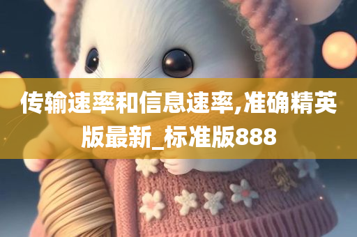 传输速率和信息速率,准确精英版最新_标准版888