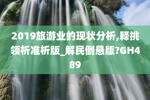 2019旅游业的现状分析,释挑领析准析版_解民倒悬版?GH489