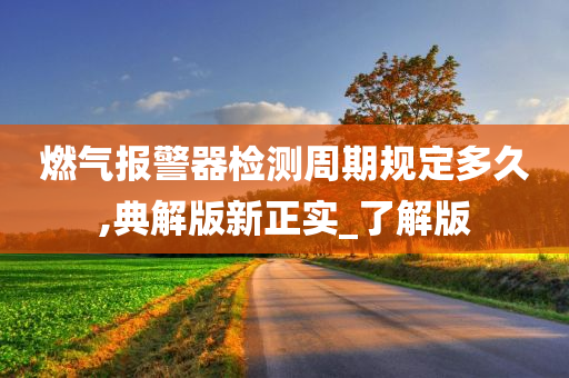 燃气报警器检测周期规定多久,典解版新正实_了解版