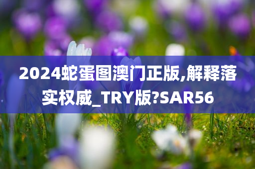 2024蛇蛋图澳门正版,解释落实权威_TRY版?SAR56