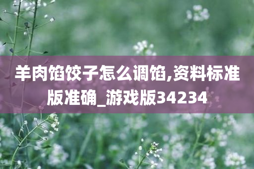 羊肉馅饺子怎么调馅,资料标准版准确_游戏版34234