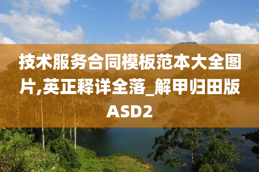 技术服务合同模板范本大全图片,英正释详全落_解甲归田版ASD2