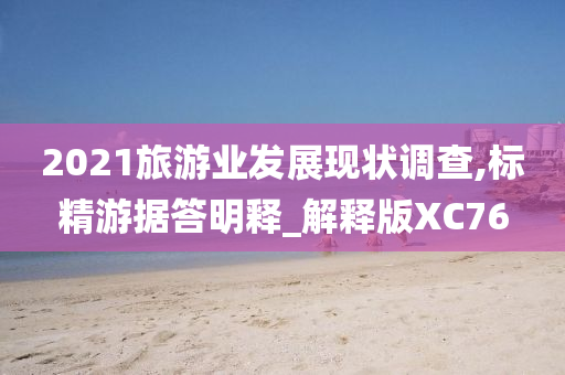 2021旅游业发展现状调查,标精游据答明释_解释版XC76