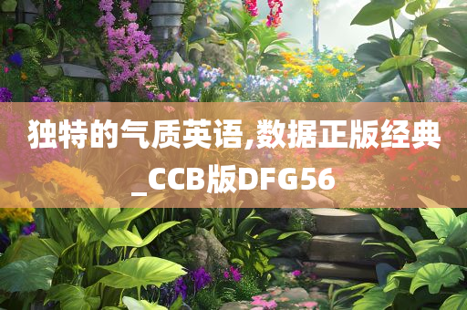 独特的气质英语,数据正版经典_CCB版DFG56