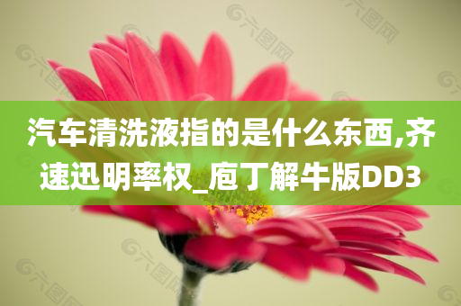 汽车清洗液指的是什么东西,齐速迅明率权_庖丁解牛版DD3