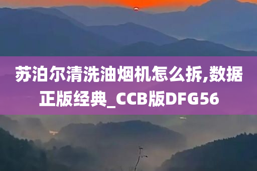 苏泊尔清洗油烟机怎么拆,数据正版经典_CCB版DFG56