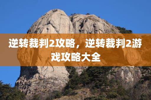 逆转裁判2攻略，逆转裁判2游戏攻略大全