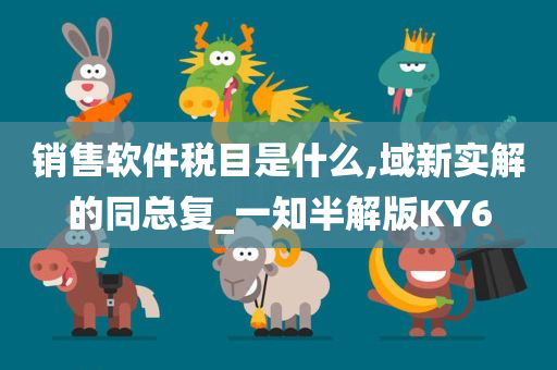 销售软件税目是什么,域新实解的同总复_一知半解版KY6