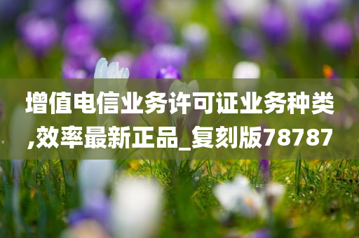 增值电信业务许可证业务种类,效率最新正品_复刻版78787