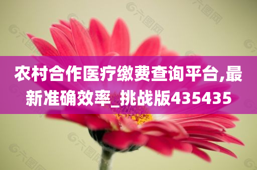 农村合作医疗缴费查询平台,最新准确效率_挑战版435435