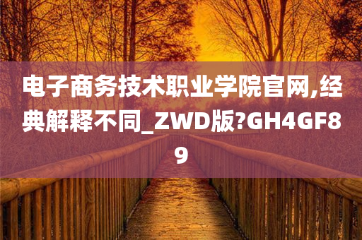 电子商务技术职业学院官网,经典解释不同_ZWD版?GH4GF89