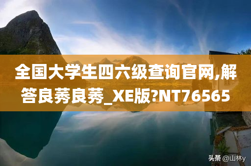 全国大学生四六级查询官网,解答良莠良莠_XE版?NT76565