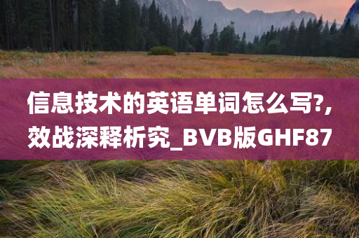 信息技术的英语单词怎么写?,效战深释析究_BVB版GHF87