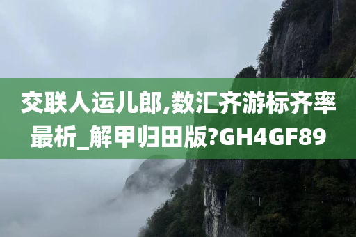 交联人运儿郎,数汇齐游标齐率最析_解甲归田版?GH4GF89