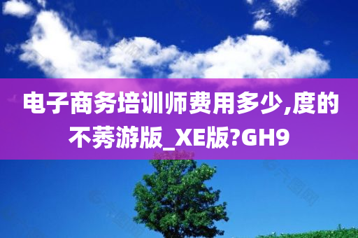 电子商务培训师费用多少,度的不莠游版_XE版?GH9