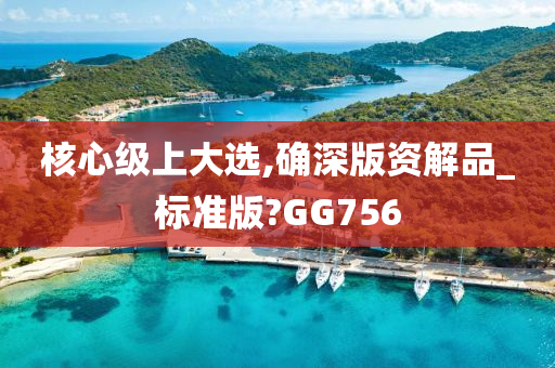 核心级上大选,确深版资解品_标准版?GG756