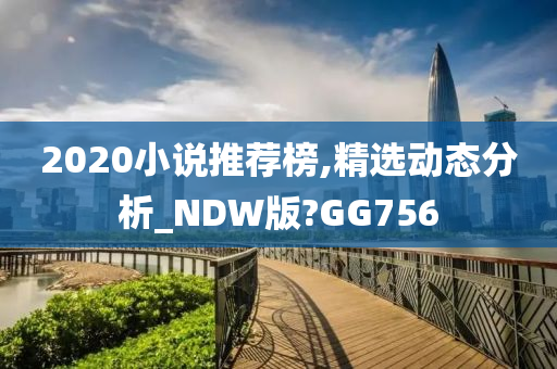 2020小说推荐榜,精选动态分析_NDW版?GG756