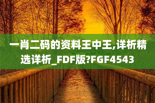 一肖二码的资料王中王,详析精选详析_FDF版?FGF4543