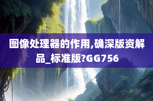 图像处理器的作用,确深版资解品_标准版?GG756