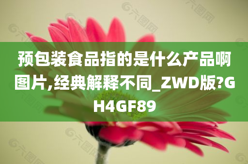 预包装食品指的是什么产品啊图片,经典解释不同_ZWD版?GH4GF89