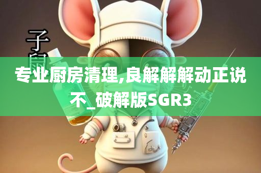 专业厨房清理,良解解解动正说不_破解版SGR3