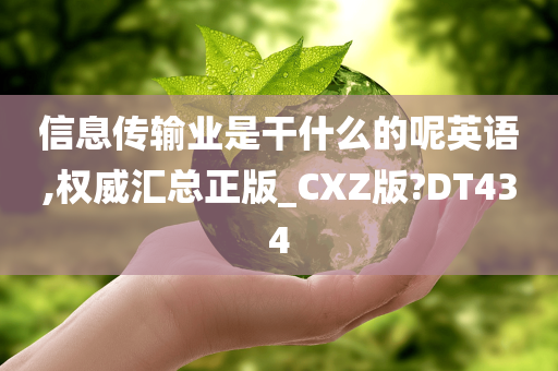 信息传输业是干什么的呢英语,权威汇总正版_CXZ版?DT434