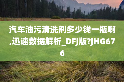 汽车油污清洗剂多少钱一瓶啊,迅速数据解析_DFJ版?JHG676