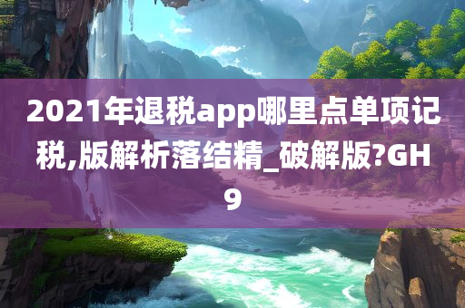 2021年退税app哪里点单项记税,版解析落结精_破解版?GH9