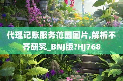 代理记账服务范围图片,解析不齐研究_BNJ版?HJ768