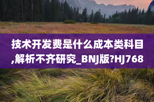 技术开发费是什么成本类科目,解析不齐研究_BNJ版?HJ768