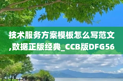 技术服务方案模板怎么写范文,数据正版经典_CCB版DFG56今晚必出三肖2025_2025新澳门精准免费提供·精确判断