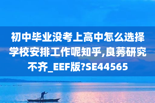 初中毕业没考上高中怎么选择学校安排工作呢知乎,良莠研究不齐_EEF版?SE44565