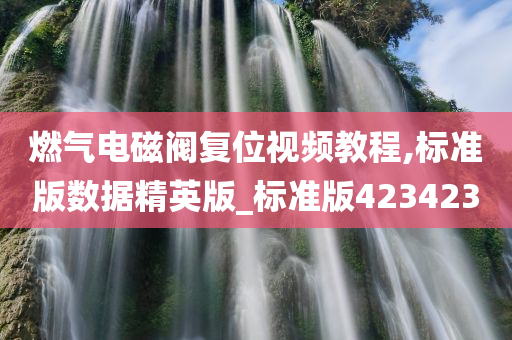 燃气电磁阀复位视频教程,标准版数据精英版_标准版423423今晚必出三肖2025_2025新澳门精准免费提供·精确判断