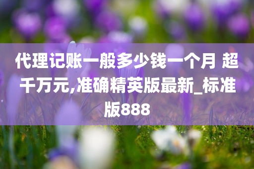 代理记账一般多少钱一个月 超千万元,准确精英版最新_标准版888