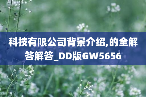 科技有限公司背景介绍,的全解答解答_DD版GW5656