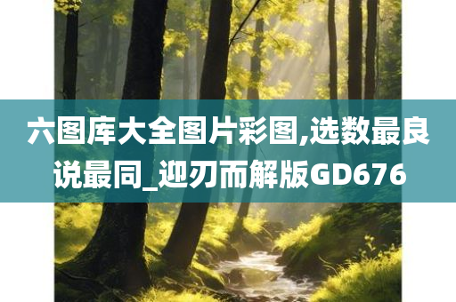 六图库大全图片彩图,选数最良说最同_迎刃而解版GD676