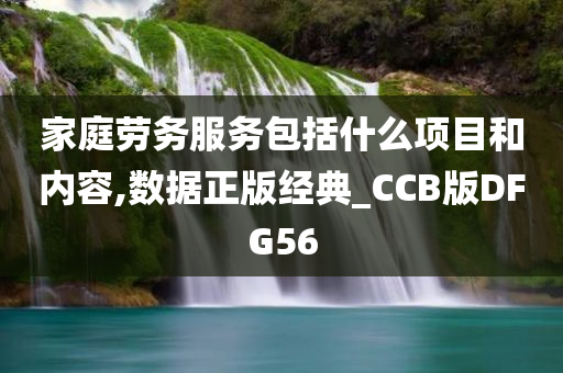 家庭劳务服务包括什么项目和内容,数据正版经典_CCB版DFG56