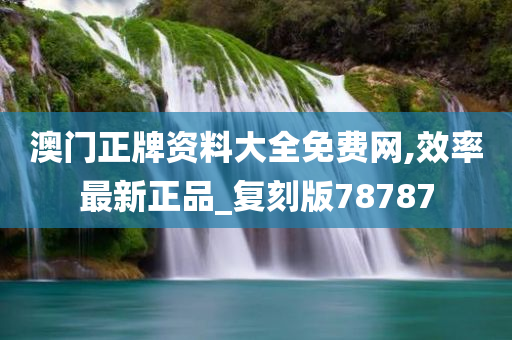 澳门正牌资料大全免费网,效率最新正品_复刻版78787
